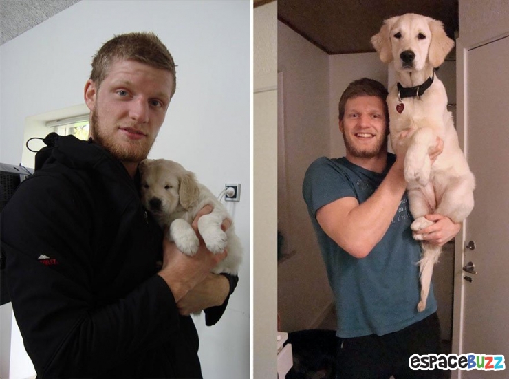 Illustration de l'article : 8 photos de duos chiens/maîtres qui ont grandi côte à côte