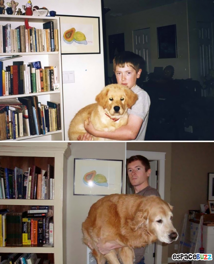 Illustration de l'article : 8 photos de duos chiens/maîtres qui ont grandi côte à côte