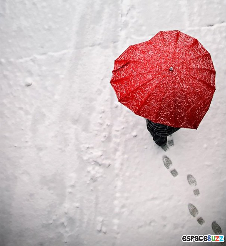 Illustration de l'article : 12 parapluies pratiques et amusants
