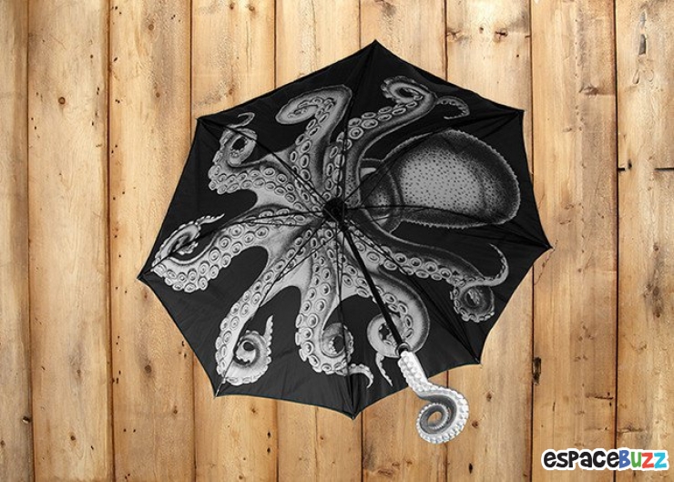 Illustration de l'article : 12 parapluies pratiques et amusants