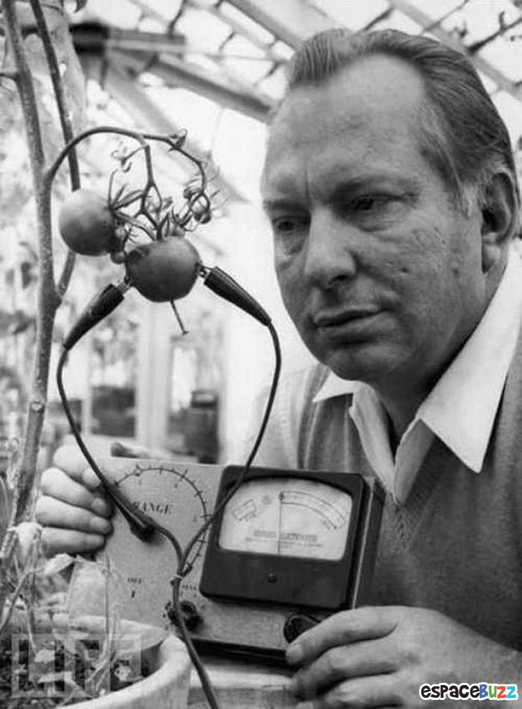 Illustration de l'article : 8 inventions qui n'avaient vraiment aucune chance de rencontrer le succès