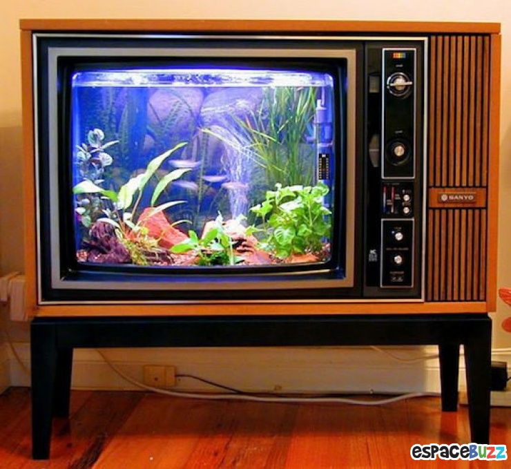 Illustration de l'article : 22 objets magnifiquement recyclés