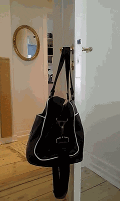 Illustration de l'article : Les chats et les sacs, une longue et belle histoire... En 15 images