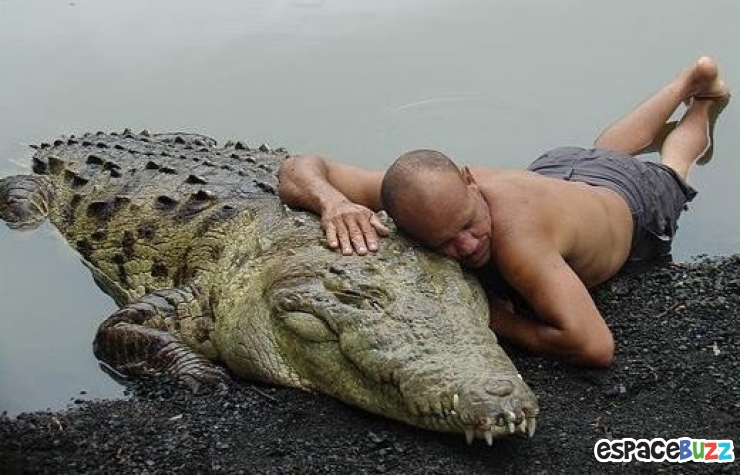 Illustration de l'article : La tendresse chez les gros animaux en 21 photos magiques