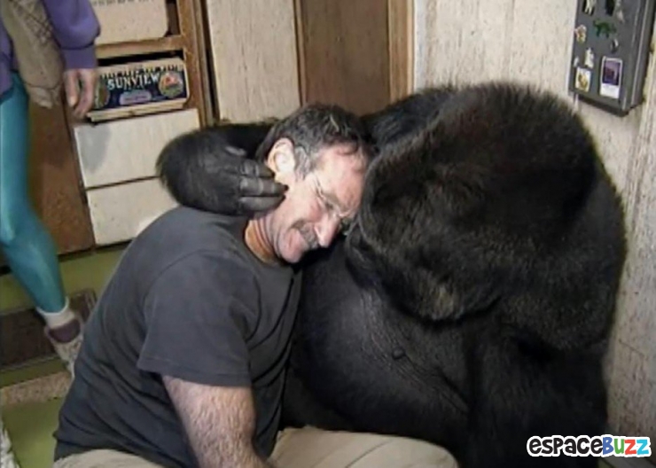 Illustration de l'article : La tendresse chez les gros animaux en 21 photos magiques