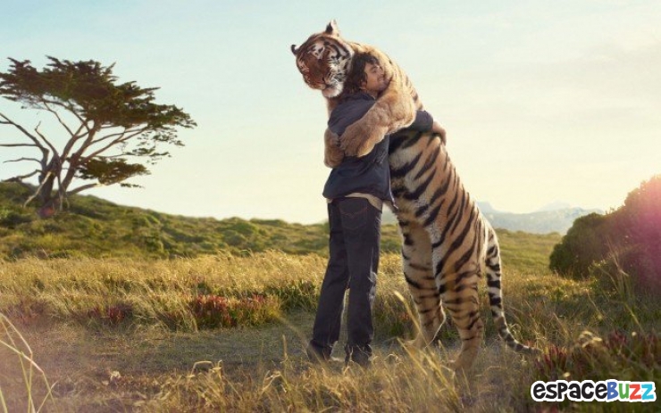 Illustration de l'article : La tendresse chez les gros animaux en 21 photos magiques