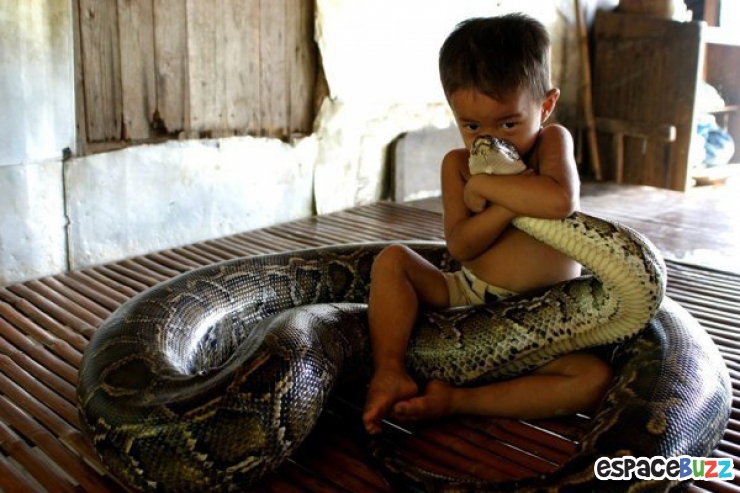 Illustration de l'article : La tendresse chez les gros animaux en 21 photos magiques