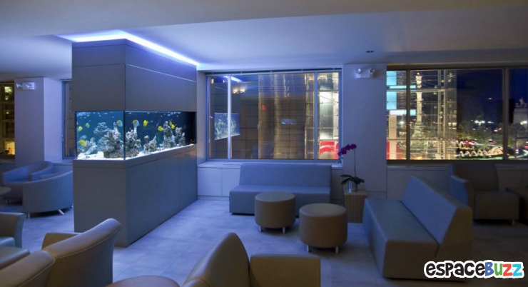 Illustration de l'article : 26 aquariums d'exception