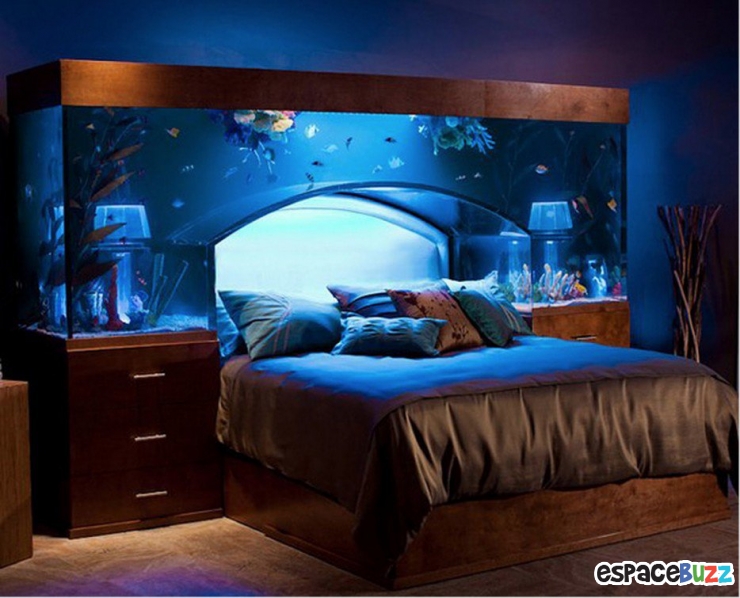 Illustration de l'article : 26 aquariums d'exception