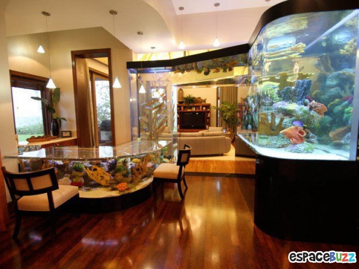 Illustration de l'article : 26 aquariums d'exception