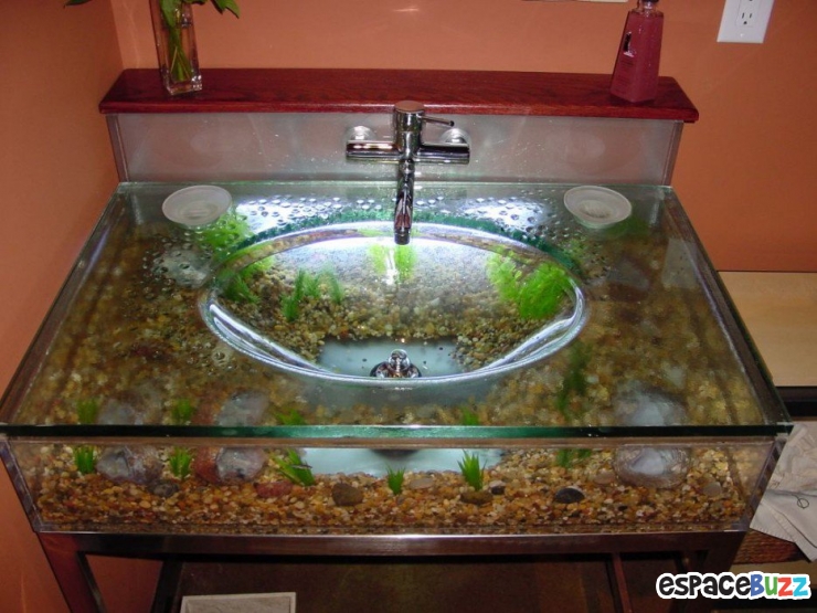 Illustration de l'article : 26 aquariums d'exception