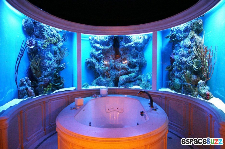 Illustration de l'article : 26 aquariums d'exception