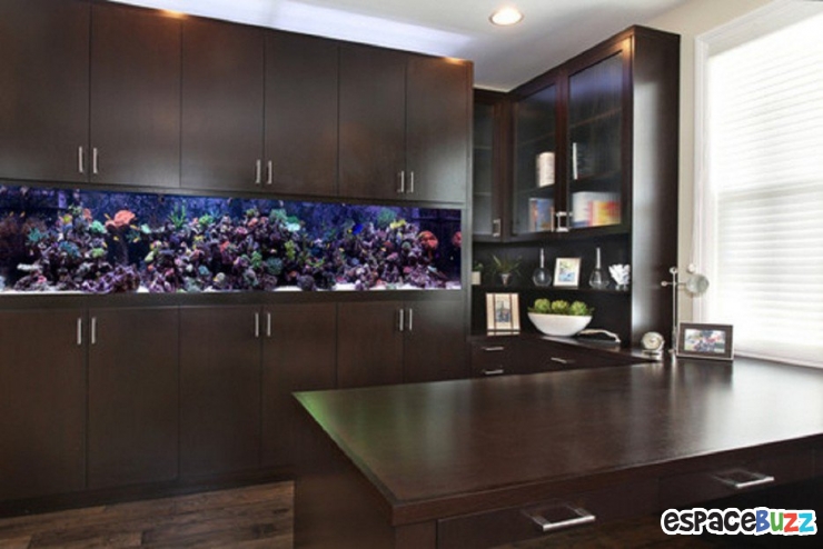 Illustration de l'article : 26 aquariums d'exception