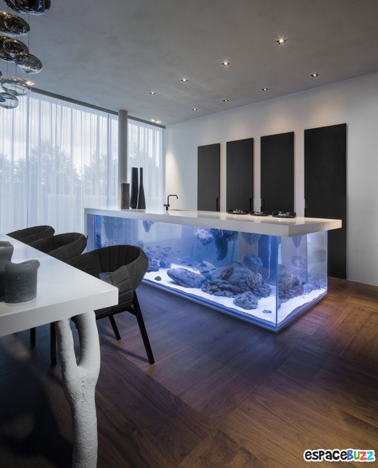 Illustration de l'article : 26 aquariums d'exception