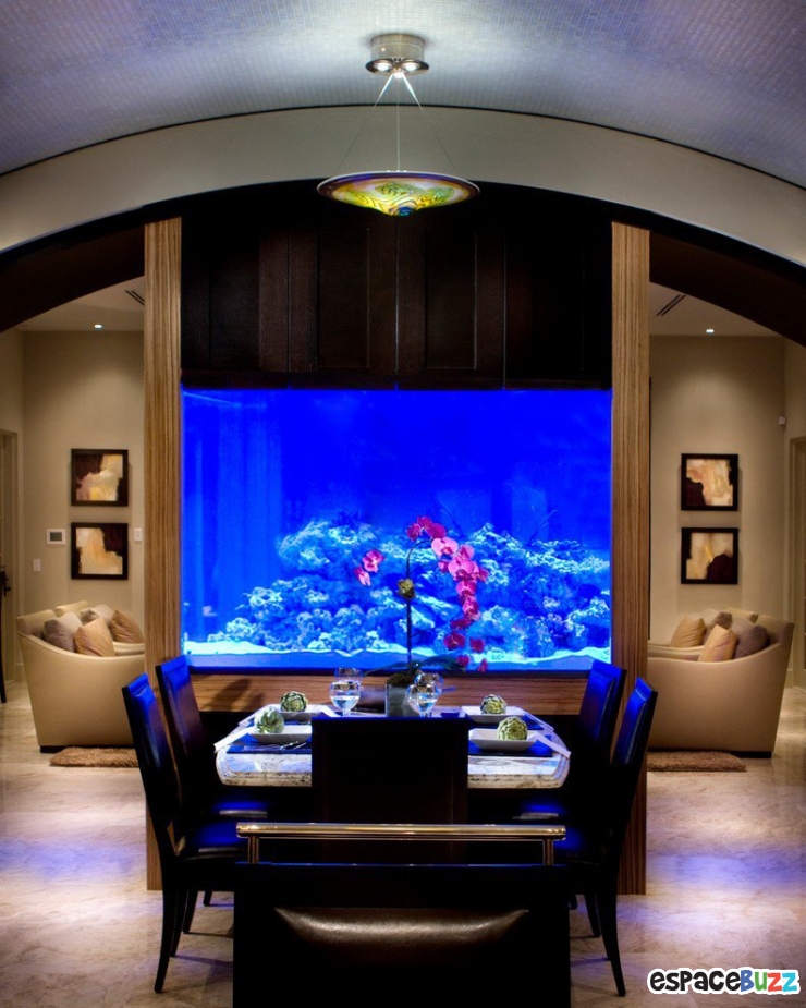 26 aquariums d'exception