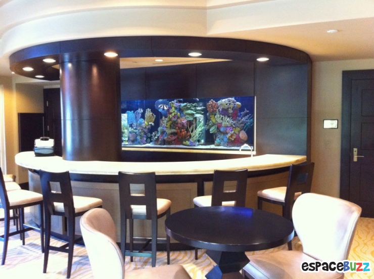 Illustration de l'article : 26 aquariums d'exception