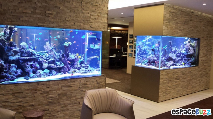 Illustration de l'article : 26 aquariums d'exception