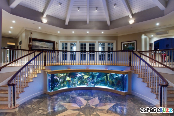 Illustration de l'article : 26 aquariums d'exception