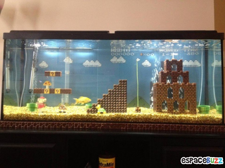 Illustration de l'article : 26 aquariums d'exception