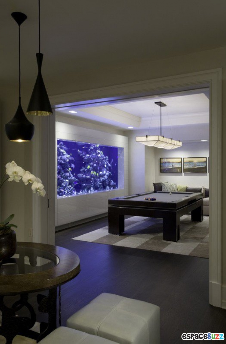 Illustration de l'article : 26 aquariums d'exception