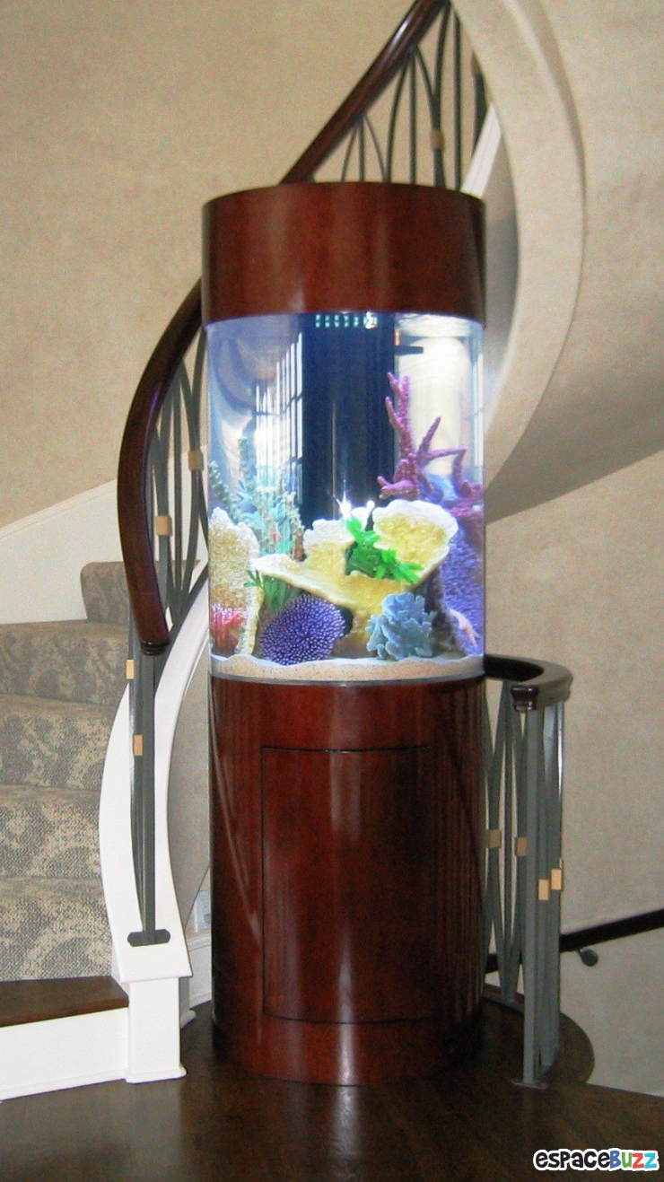 Illustration de l'article : 26 aquariums d'exception