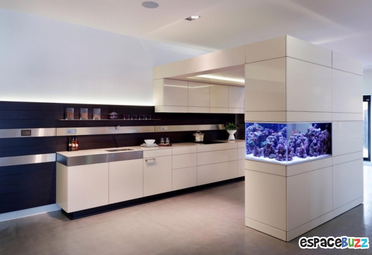 Illustration de l'article : 26 aquariums d'exception