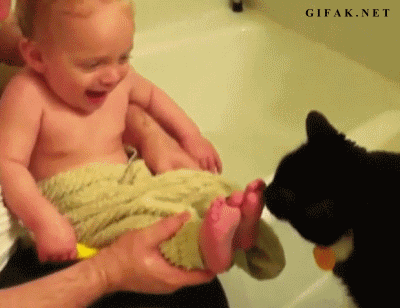 Illustration de l'article : 24 images pleines de bonheur qui vous donneront le sourire