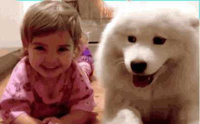 Illustration de l'article : 24 images pleines de bonheur qui vous donneront le sourire