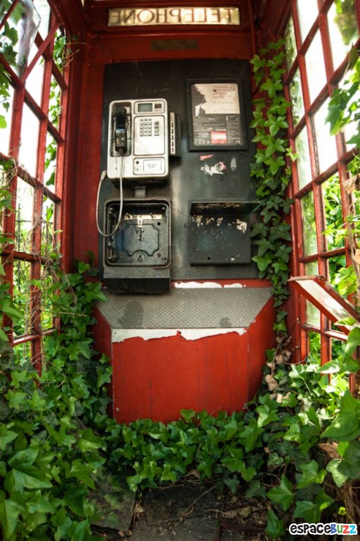 Illustration de l'article : Les 14 photos lauréates de la British Wildlife Photography