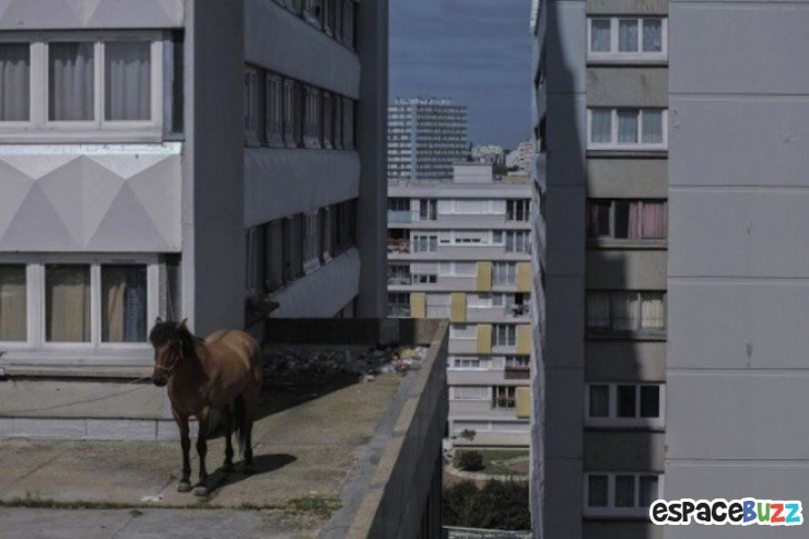 Illustration de l'article : 10 surprenants clich&eacute;s tir&eacute;s du projet "Tous les jours dimanche", par le photographe Manolo Mylonas