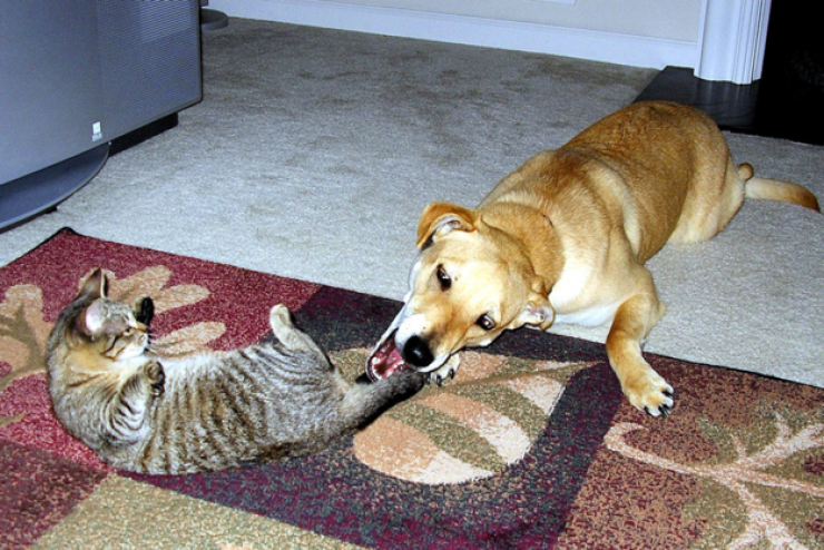 Illustration de l'article : Les best-of de l'absurde et de l'inconscience en 15 images