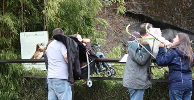 Illustration de l'article : Les best-of de l'absurde et de l'inconscience en 15 images