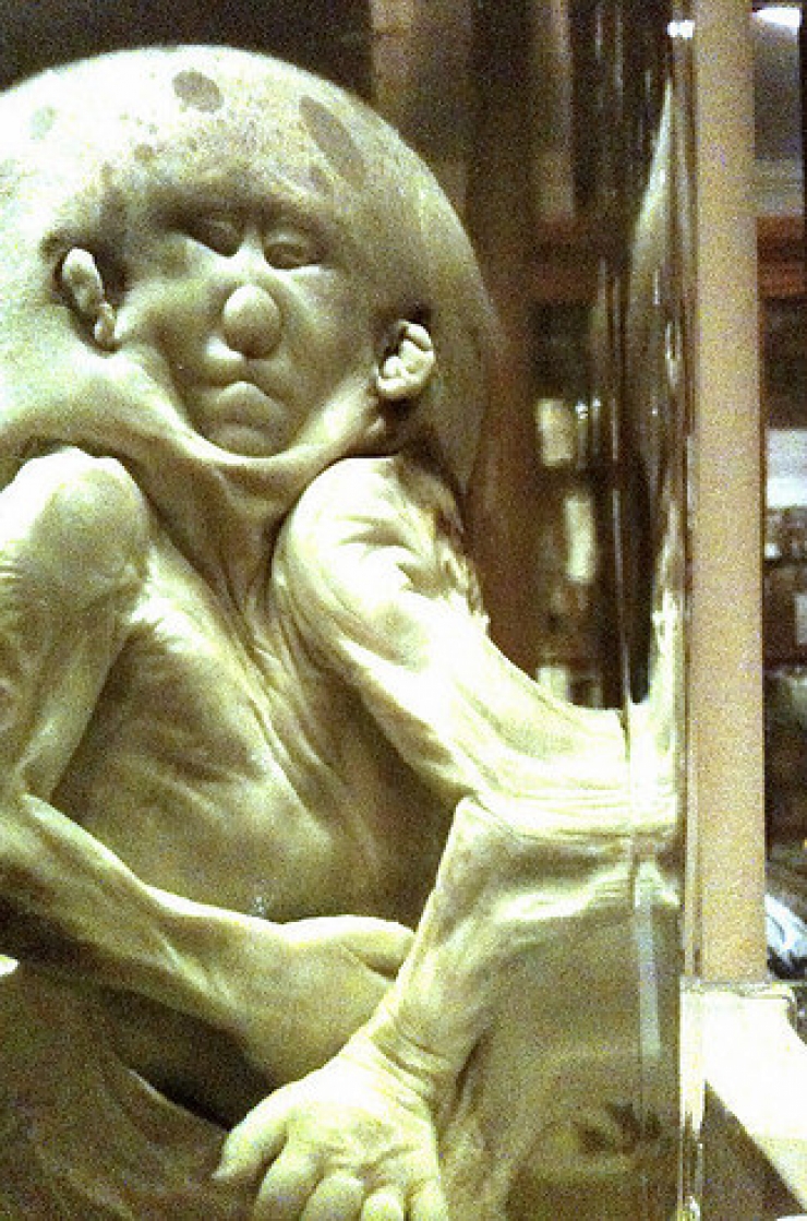 Illustration de l'article : 10 lieux extr&ecirc;mement sordides situ&eacute;s aux Etats-Unis