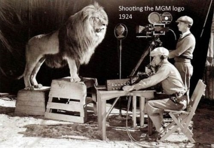 Illustration de l'article : 30 photos insolites de tournages de grands films