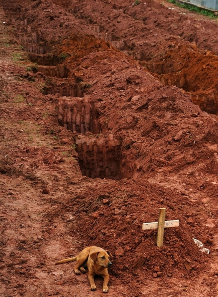 Illustration de l'article : Les multiples visages de l'Humanité à travers 22 photos saisissantes