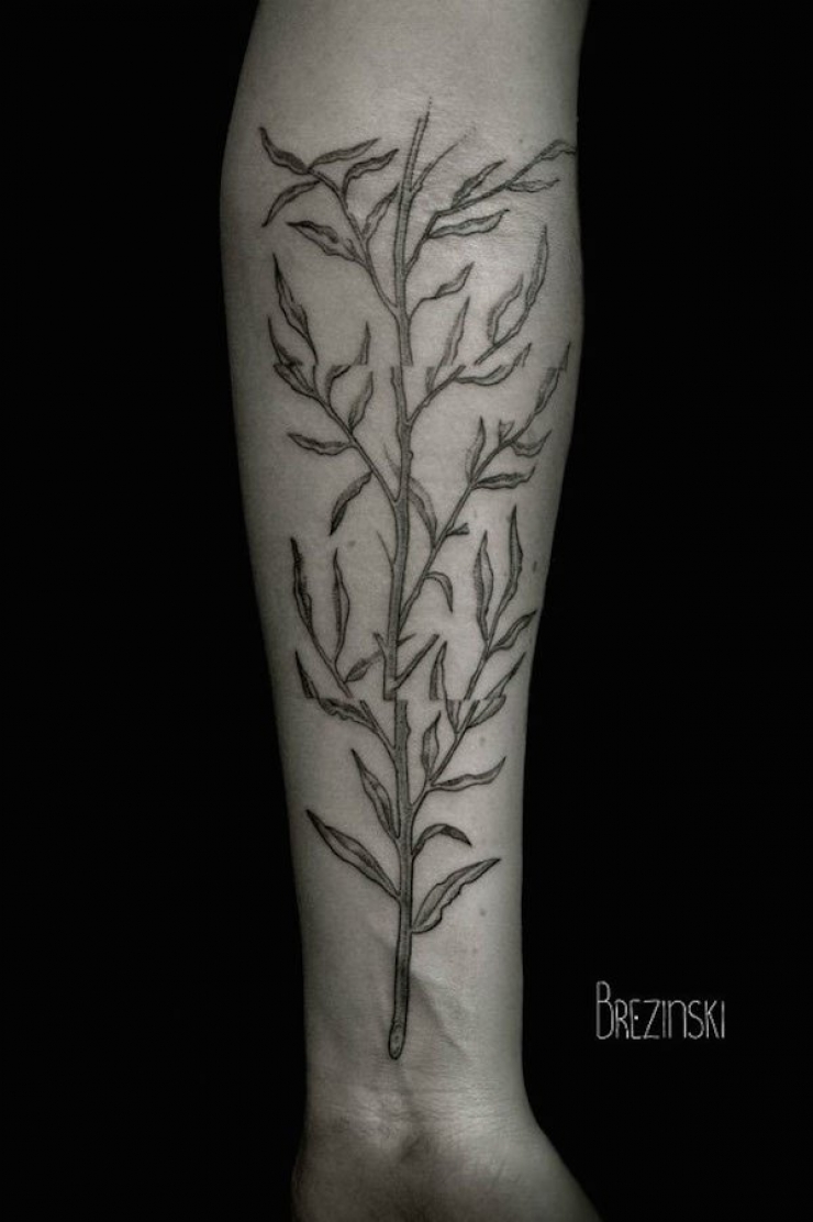 Illustration de l'article : 11 superbes "dot tattoos" signés Ilya Brezinski