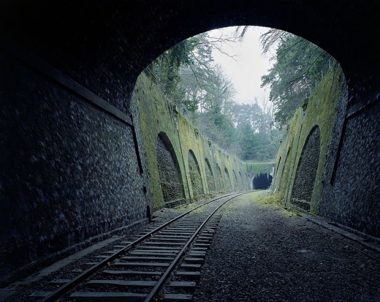 Illustration de l'article : Ces 16 lieux ou la nature a repris ses droits