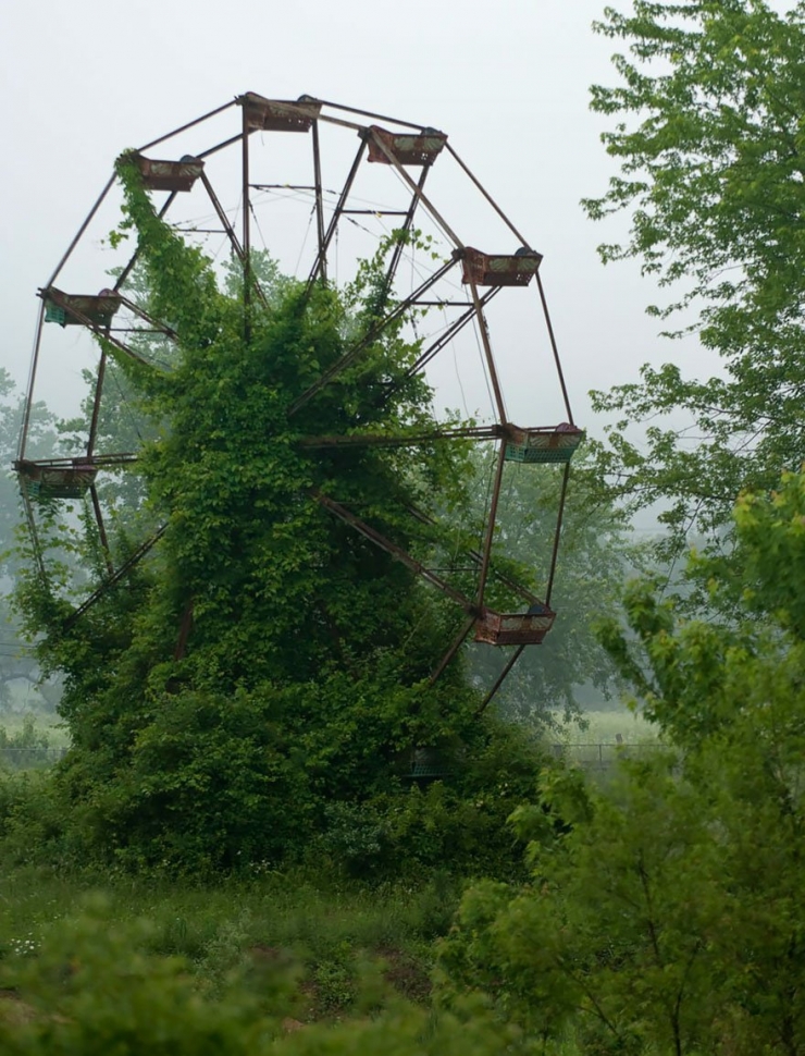 Illustration de l'article : Ces 16 lieux ou la nature a repris ses droits