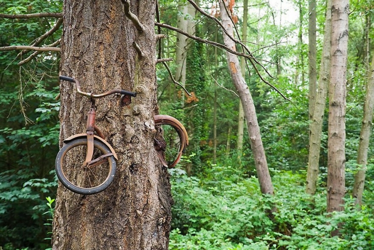Illustration de l'article : Ces 16 lieux ou la nature a repris ses droits