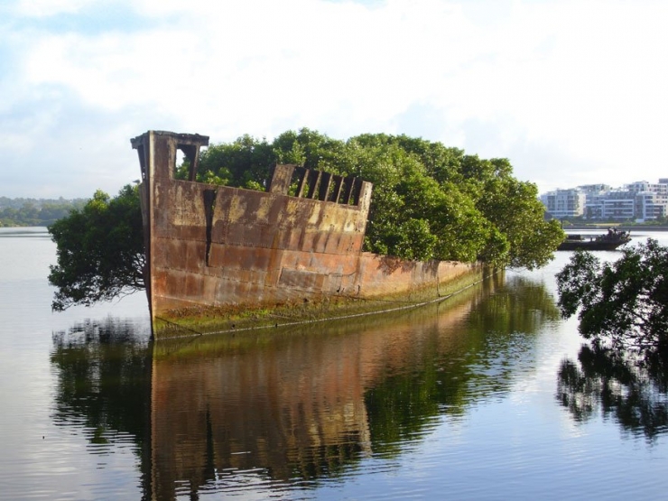 Illustration de l'article : Ces 16 lieux ou la nature a repris ses droits