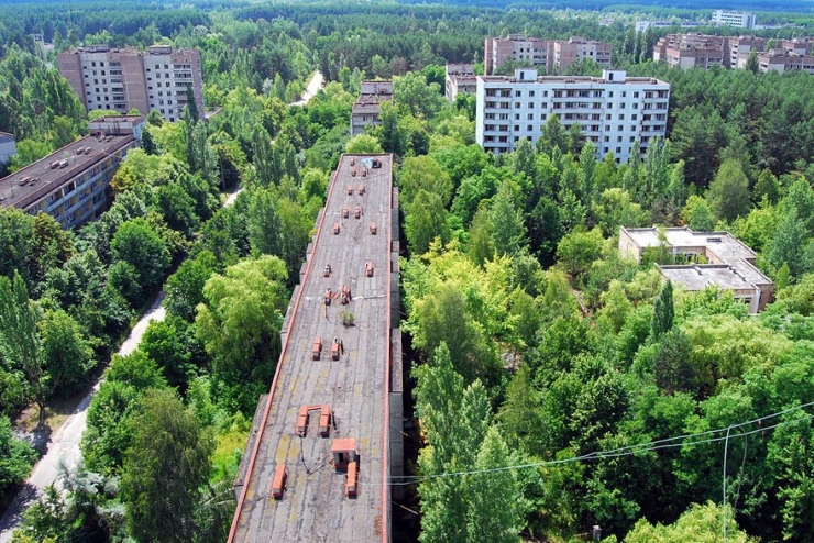 Illustration de l'article : Ces 16 lieux ou la nature a repris ses droits