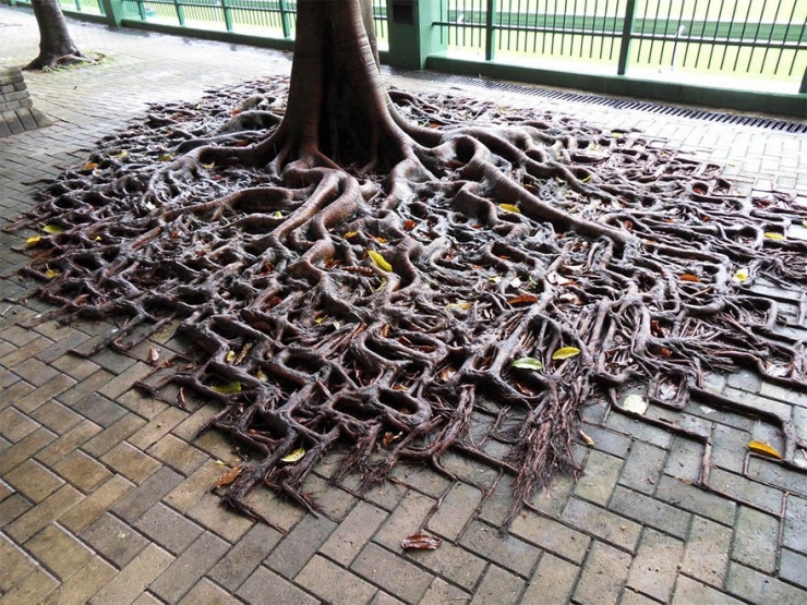 Illustration de l'article : Ces 16 lieux ou la nature a repris ses droits