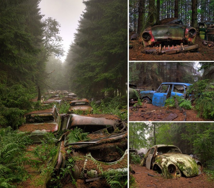 Illustration de l'article : Ces 16 lieux ou la nature a repris ses droits