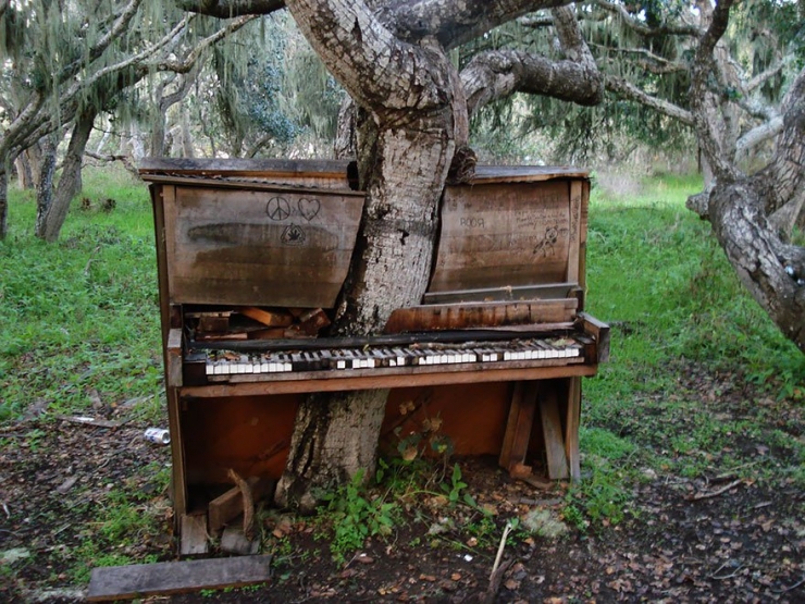 Illustration de l'article : Ces 16 lieux ou la nature a repris ses droits