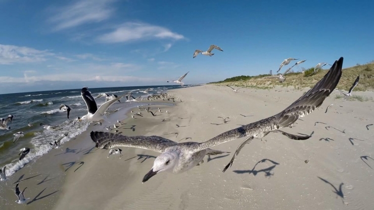 Illustration de l'article : 21 superbes clich&eacute;s en hauteur r&eacute;alis&eacute;s gr&acirc;ce &agrave; des drones