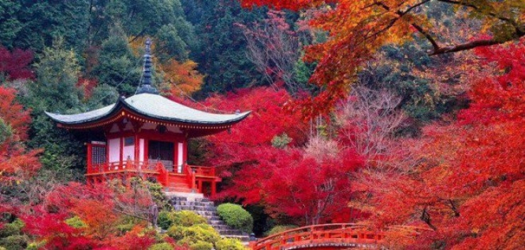 Illustration de l'article : 16 lieux aux incroyables couleurs &agrave; travers le monde