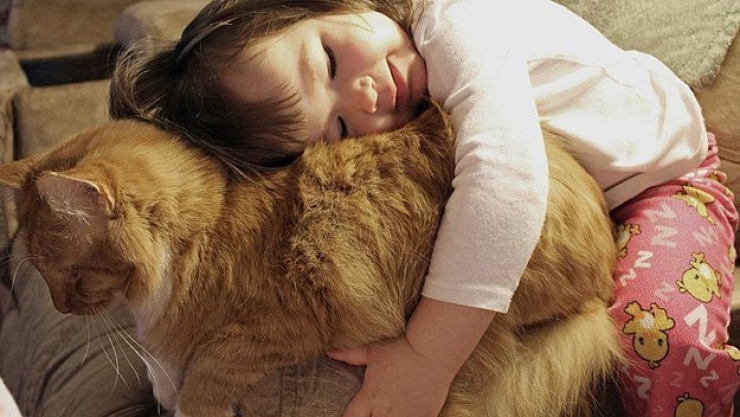 Est Ce Que Les Chats Savent Nager Les chats savent aussi faire preuve de tendresse. Démonstration en 24