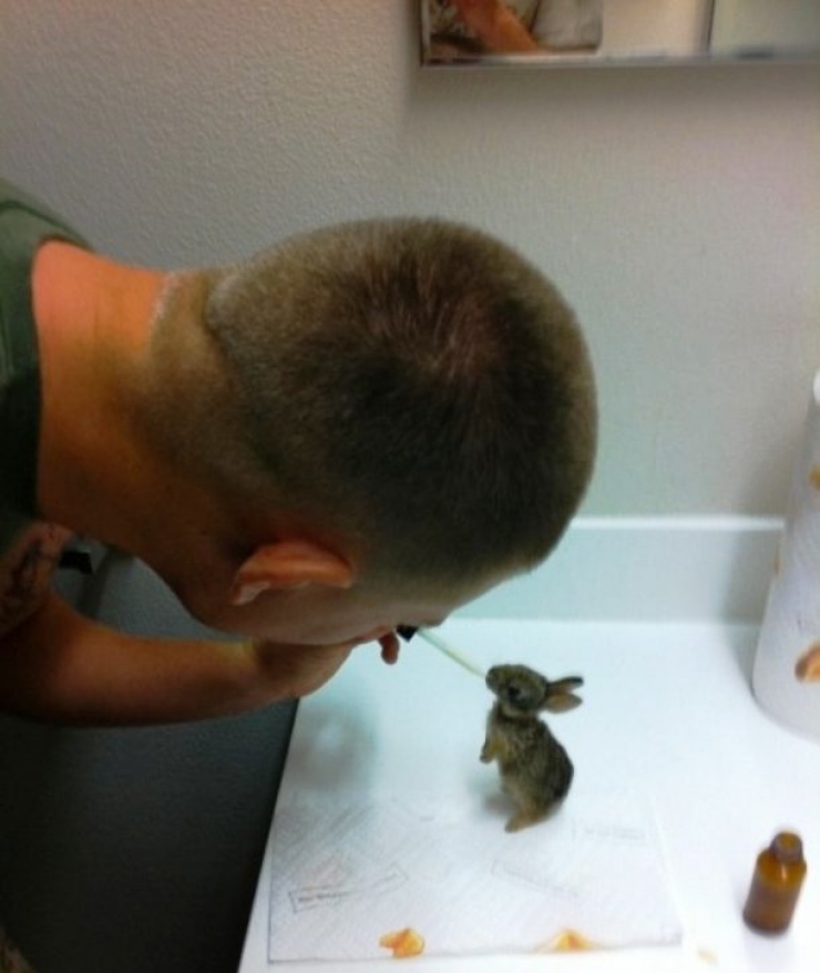 Illustration de l'article : L'humain au secours de l'animal : 22 superbes photos de sauvetages et de soins animaliers