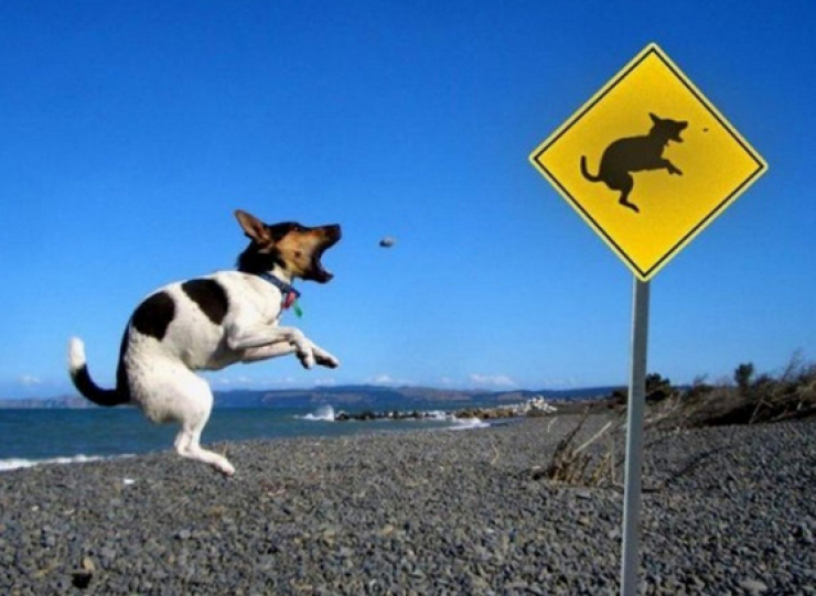 Illustration de l'article : 20 panneaux de signalisation qui ne manquent pas d'humour