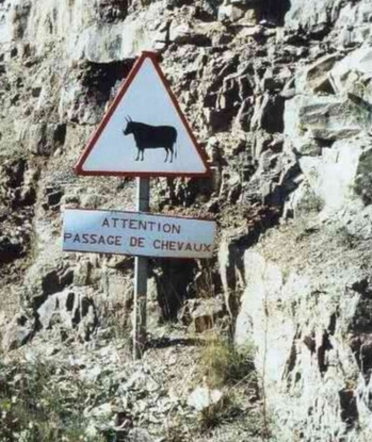Illustration de l'article : 20 panneaux de signalisation qui ne manquent pas d'humour